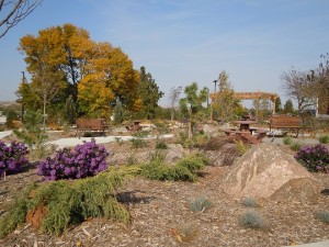 Healing Garden 10-1-12