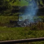The burn pile which likely resulted in the barn fire. 