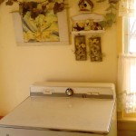 IMG_20130306_165636-2