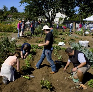 CommunityGarden1