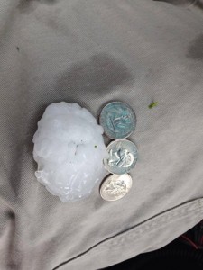 3" diameter hail in Harlan this morning. (Shelby County EMA photo)