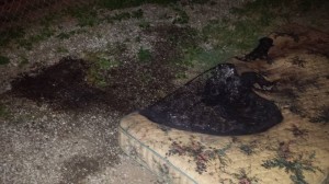 Picture of the burned mattress courtesy Loretta Haskins. 