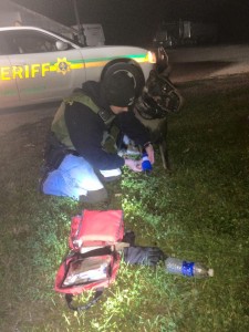 Dep. Kyle Quist administers 1st Aid to his partner "Vader" (Photo Courtesy Quist/I-80 K9)