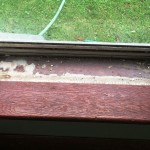 Lead Paint in Window