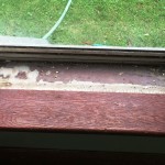Lead Paint in Window