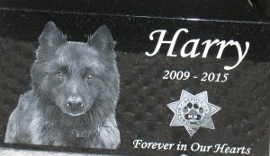 Audubon County K9 "Harry's" ashes are contained in this special urn. 