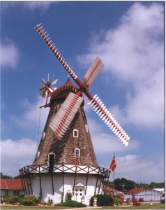 Danish Windmill - Elk Horn