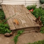 IMG_20150523_155647783