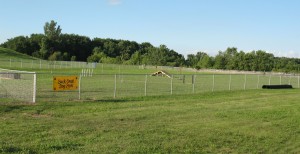 Large dog exercise area