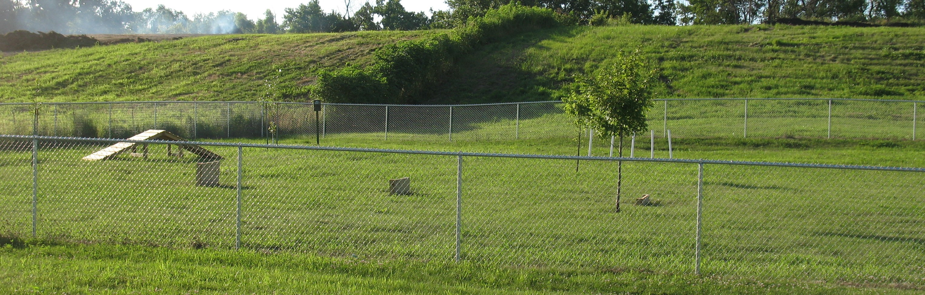 Buck Creek Dog Park set for Grand Opening this Friday « KJAN Radio