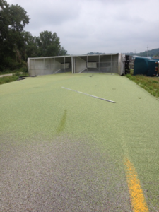 Split peas cover I-29. (IA DOT photo)