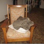 !cid_D8A2AF5A09834E1AB1618FFA5EB77FA4@taednerHP