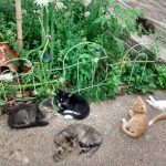 IMG_20160708_184157532_HDR