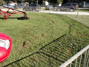 Divots dug into the ground by the impact of the rides' buckets. 