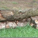 !cid_0914A21A63074CB48AAC94CB46E71E58@KMoPC