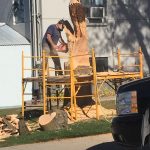 tree-stump-eagle-creston