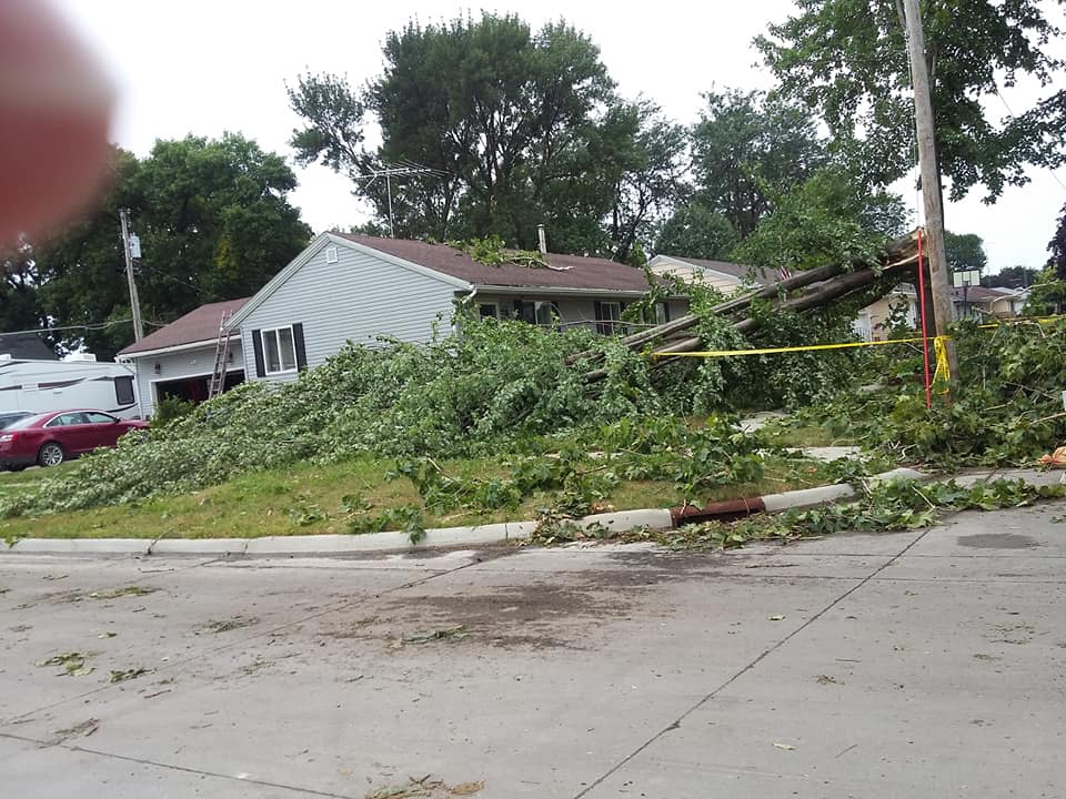 Strong winds level hundreds of trees in parts of northern & central