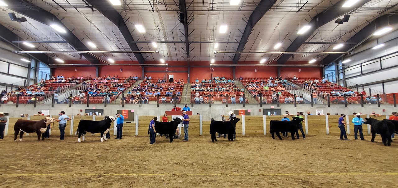 Governor’s Charity Steer Show raises over 250,000 « KJAN Radio