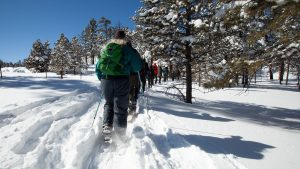 Snowshoe Hike (NPS photo)